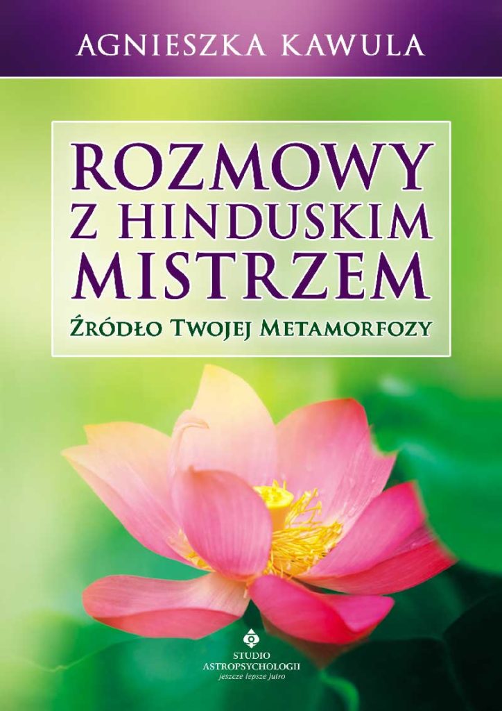 Rozmowy z hinduskim mistrzem - Okładka książki